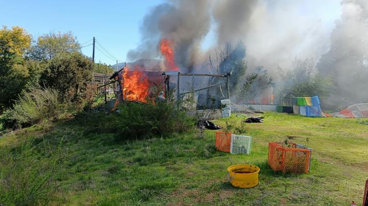 Incendio afectó vivienda en Catapilco y movilizó a Bomberos de varias comunas