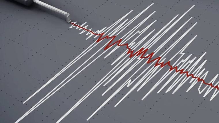 Alarma por fuerte temblor de madrugada en Coquimbo: esto dijo el SHOA