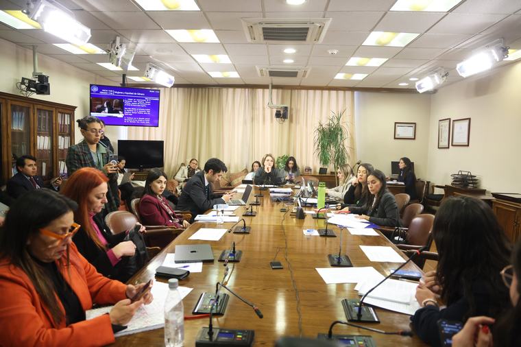 El round que se desató en la Comisión de Mujeres del Congreso