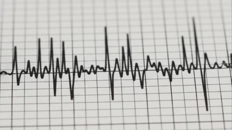 Otro temblor más provoca angustia en Coquimbo: epicentro en Canela Baja