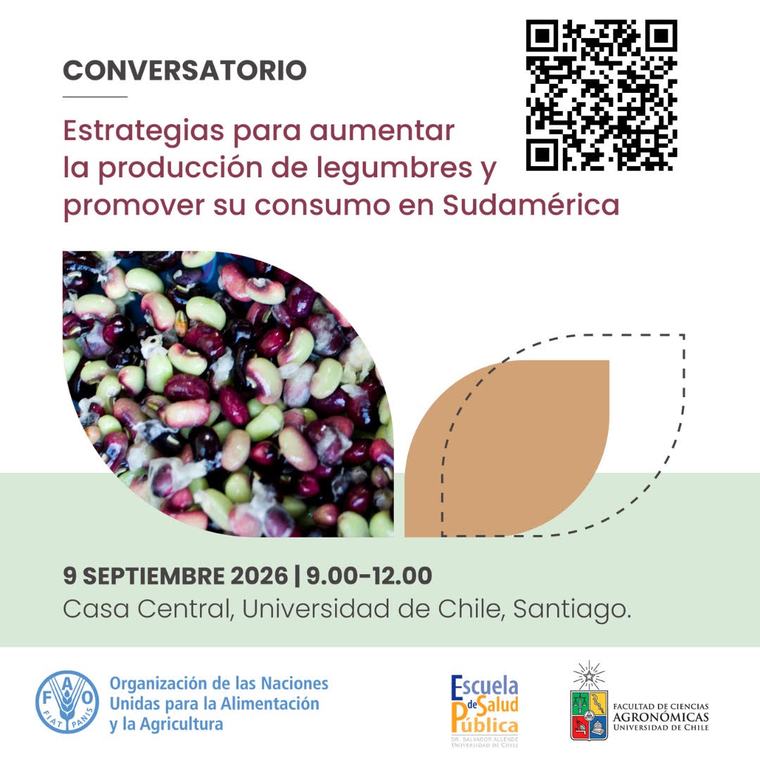 https://uchile.cl/u243455