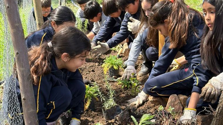 Diez años de Huertas Comunitarias: 110 proyectos y casi 400.000 kilos de alimentos cosechados