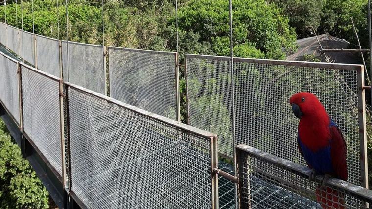 Parque Tricao: la fundación que recuperó 100 hectáreas degradadas y ya suma 33 mil estudiantes en Aula Tricao